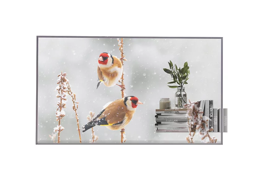 Профессиональный прозрачный OLED дисплей LG 55EW5P-M Профессиональный прозрачный OLED дисплей LG 55EW5P-M